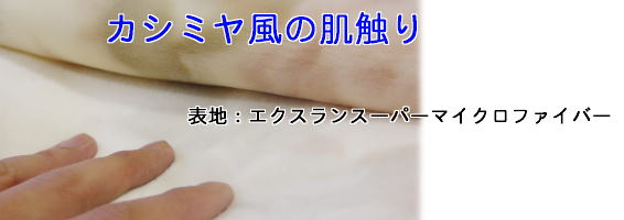 �ō����A�N�����ѕz�u��ѕz�v�\�n�̂������