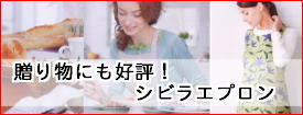 �V�r���G�v����